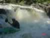 Paul below the Linn of Tummel